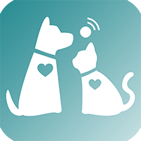 PetStemo_icon3